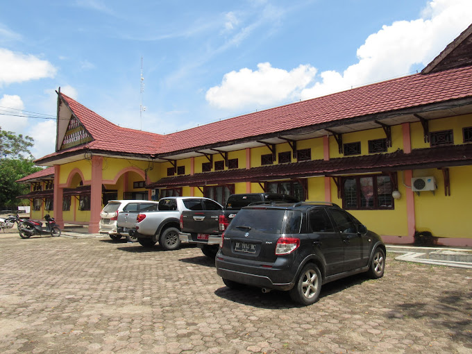 EXPOSE : Laporan Pendahuluan Kegiatan Perbaikan Aplikasi Website SIMTARU PALUTA